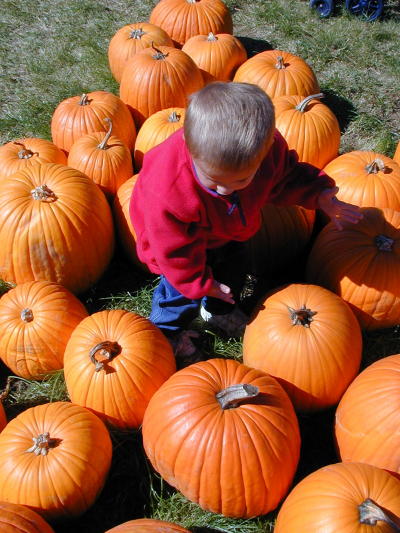 1X070029s.JPG - 64.5 K