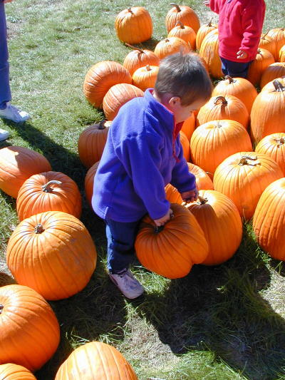 1X070031s.JPG - 71.1 K