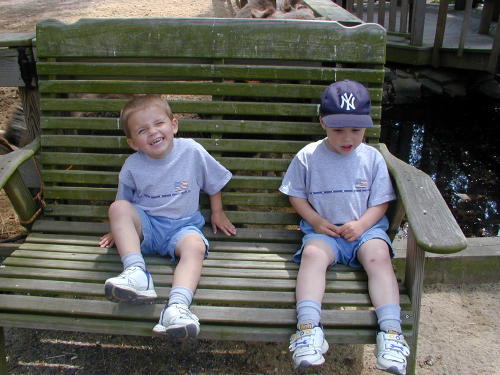 25270020s.JPG - 52.7 K