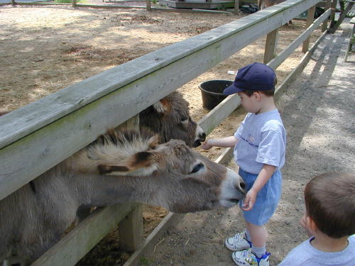 25270028s.JPG - 52.7 K