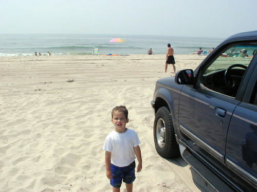 26300019s.JPG - 45.8 K