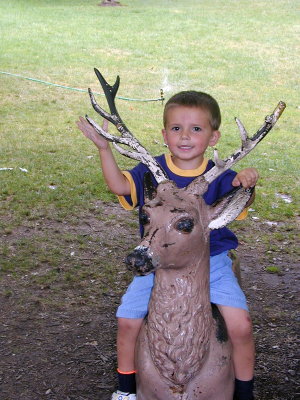 27240024s.JPG - 52.5 K