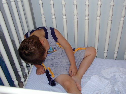 29070011s.JPG - 47.5 K