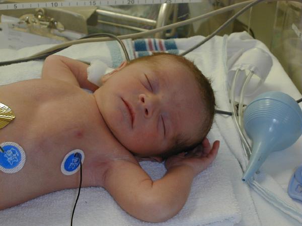 PJV-neo-2.jpg - 34.1 K