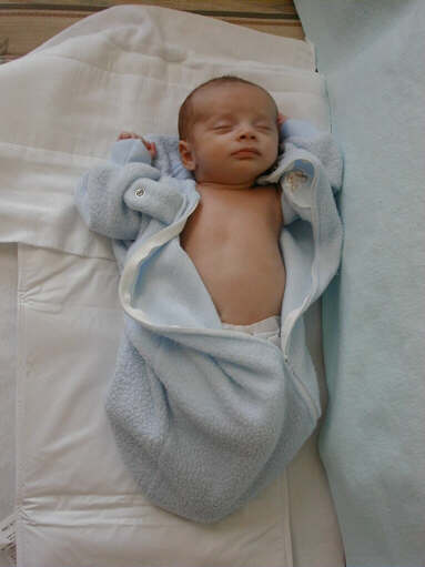 991107-ppjs.jpg - 18.9 K