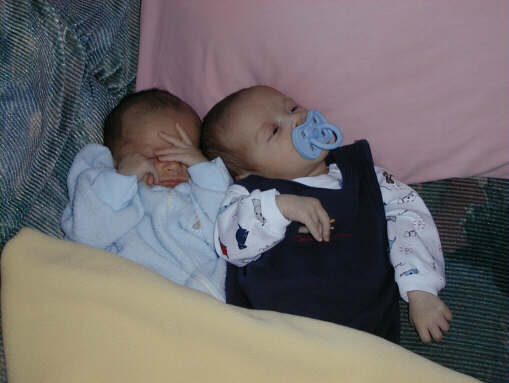 991108-pk2s.jpg - 22.5 K