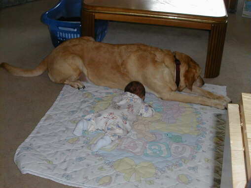 991110-pbrands.jpg - 23.6 K