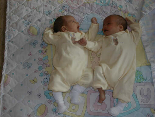 991110-pkbeds.jpg - 24.0 K