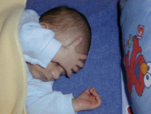 991122-pbeds.jpg - 20.7 K