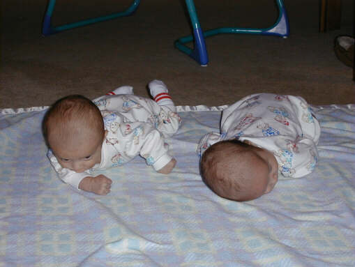 991124-pkcrawls.jpg - 23.9 K