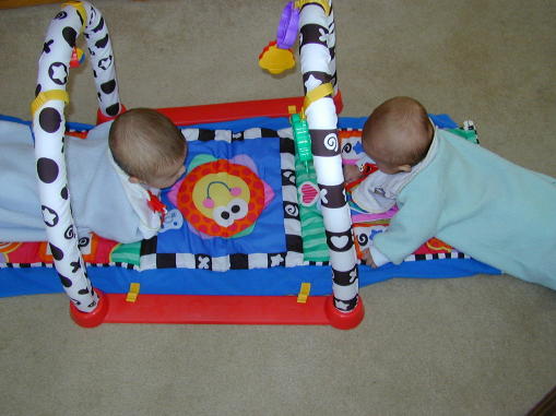 00-0123-pkgym2s.jpg - 42.3 K