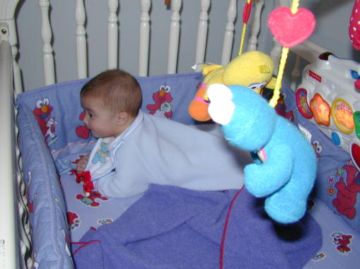 00-0130-kcrib2s.jpg - 42.7 K